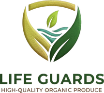 Life Guards 로고